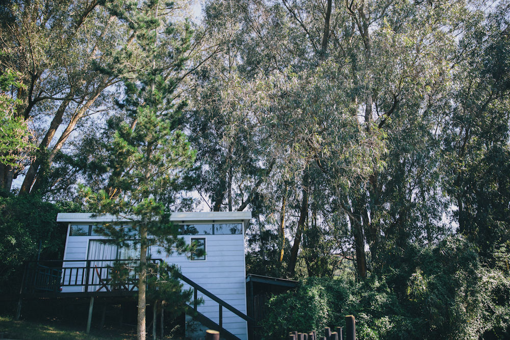 L'Auberge Country Hideaway Port Elizabeth Exteriér fotografie