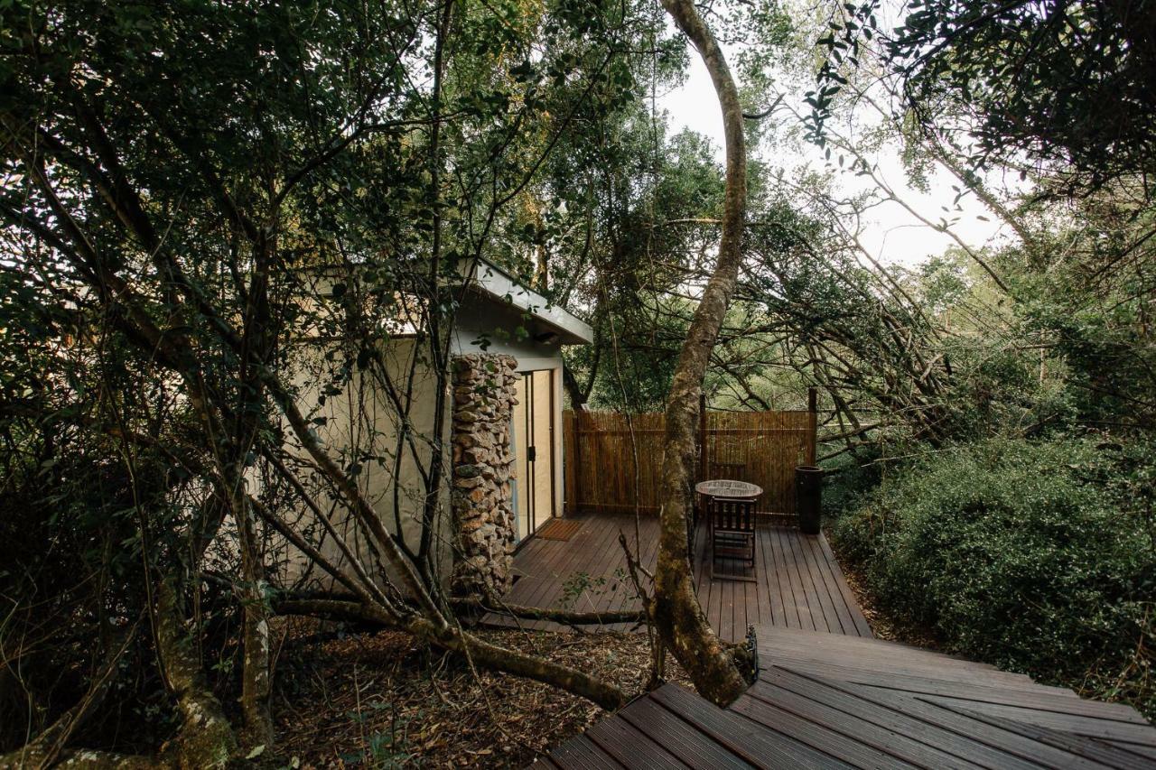 L'Auberge Country Hideaway Port Elizabeth Exteriér fotografie