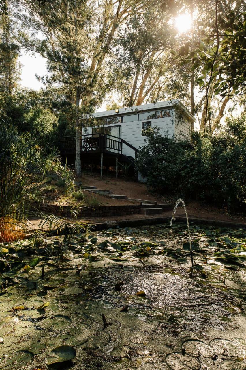 L'Auberge Country Hideaway Port Elizabeth Exteriér fotografie