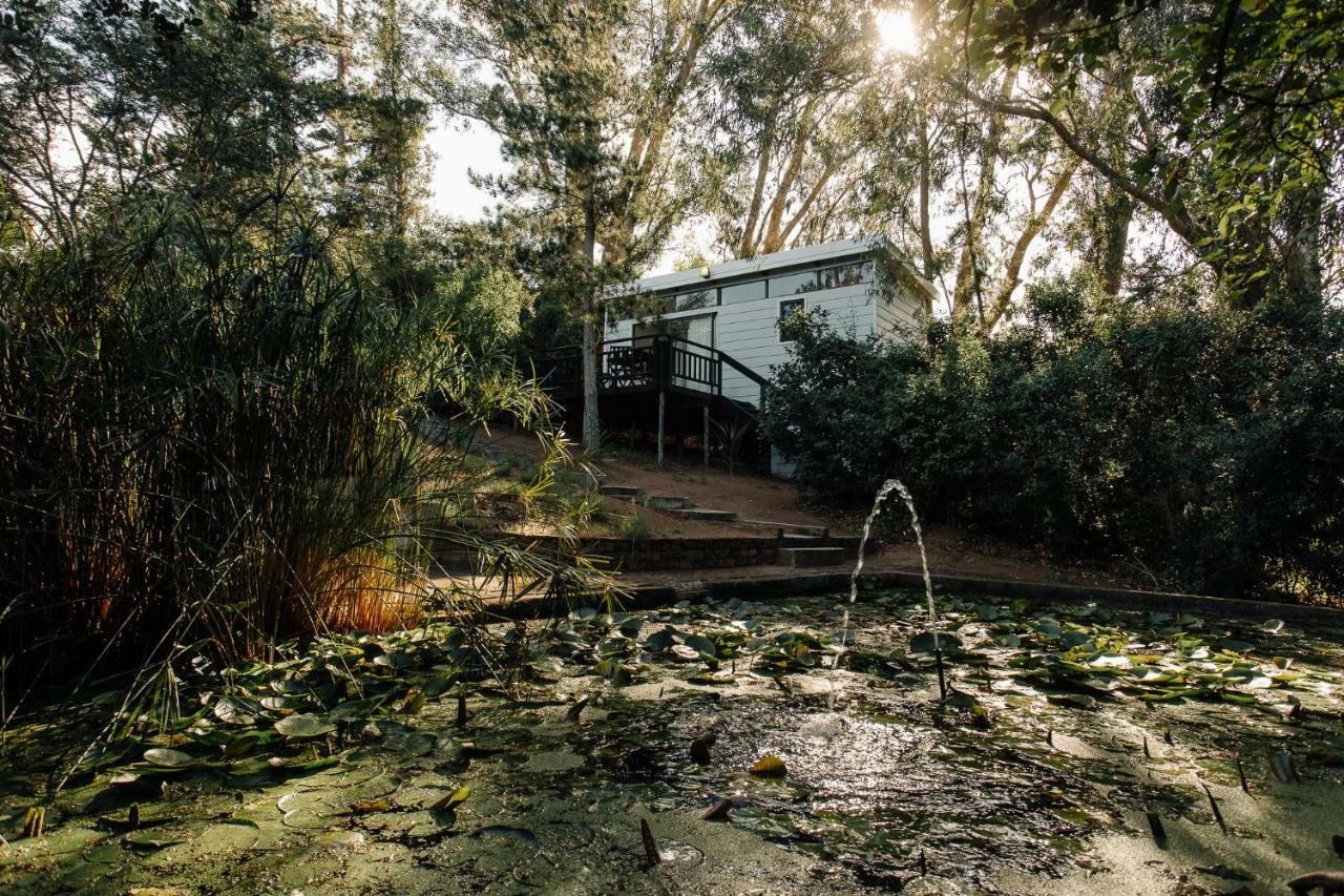 L'Auberge Country Hideaway Port Elizabeth Exteriér fotografie