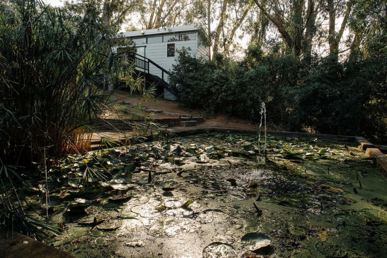 L'Auberge Country Hideaway Port Elizabeth Exteriér fotografie